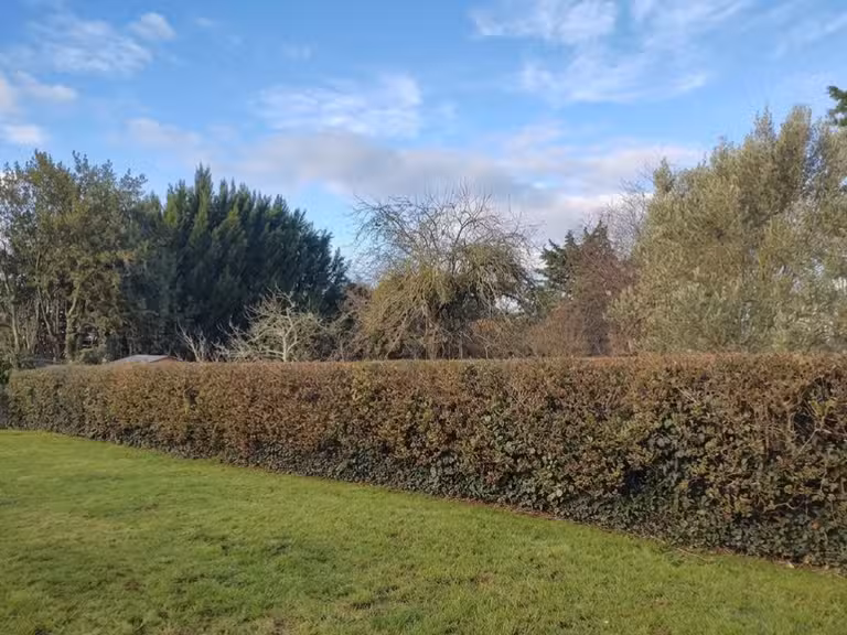 Photo 1 de Terrain 315 m²