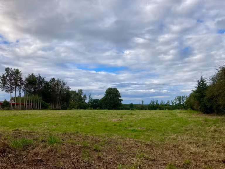 Photo 1 de Terrain 450 m²